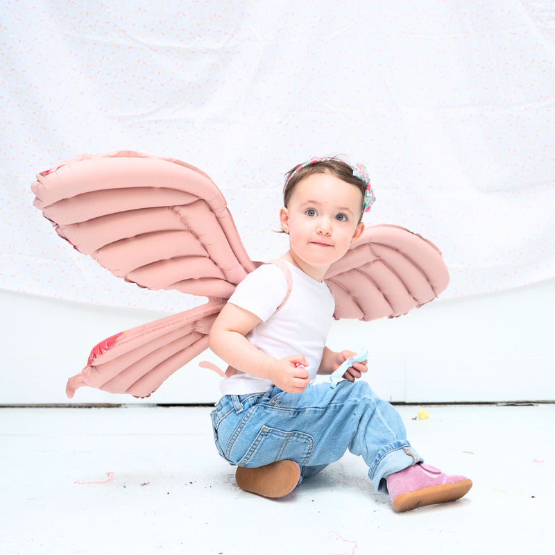 Butterfly Wings