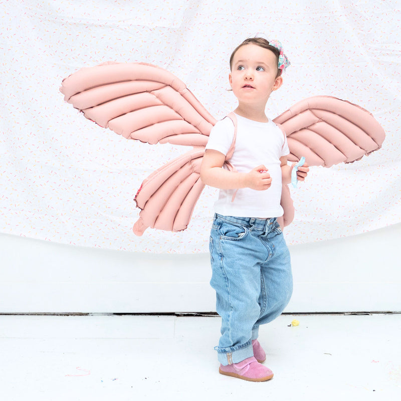 Butterfly Wings