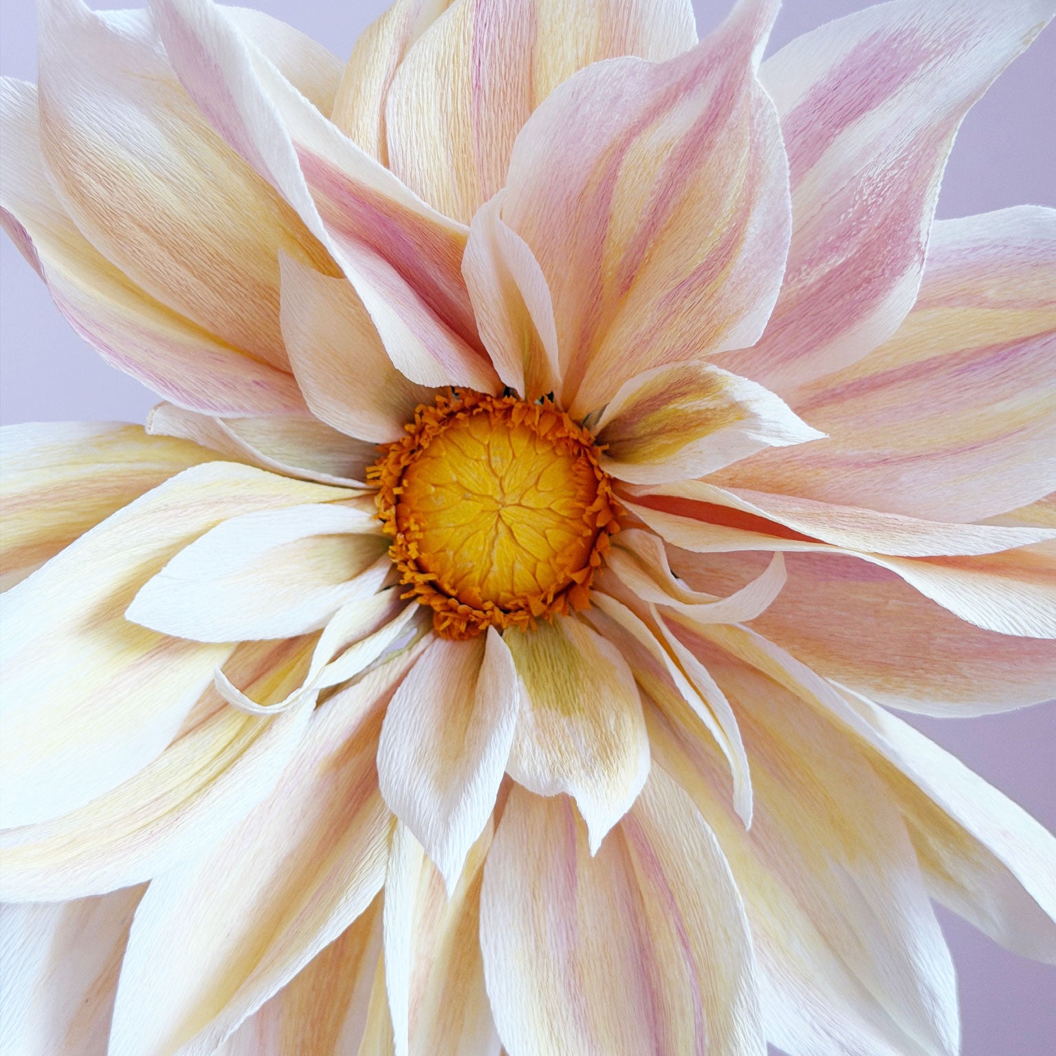 Ana's Paper Blooms- Dahlia