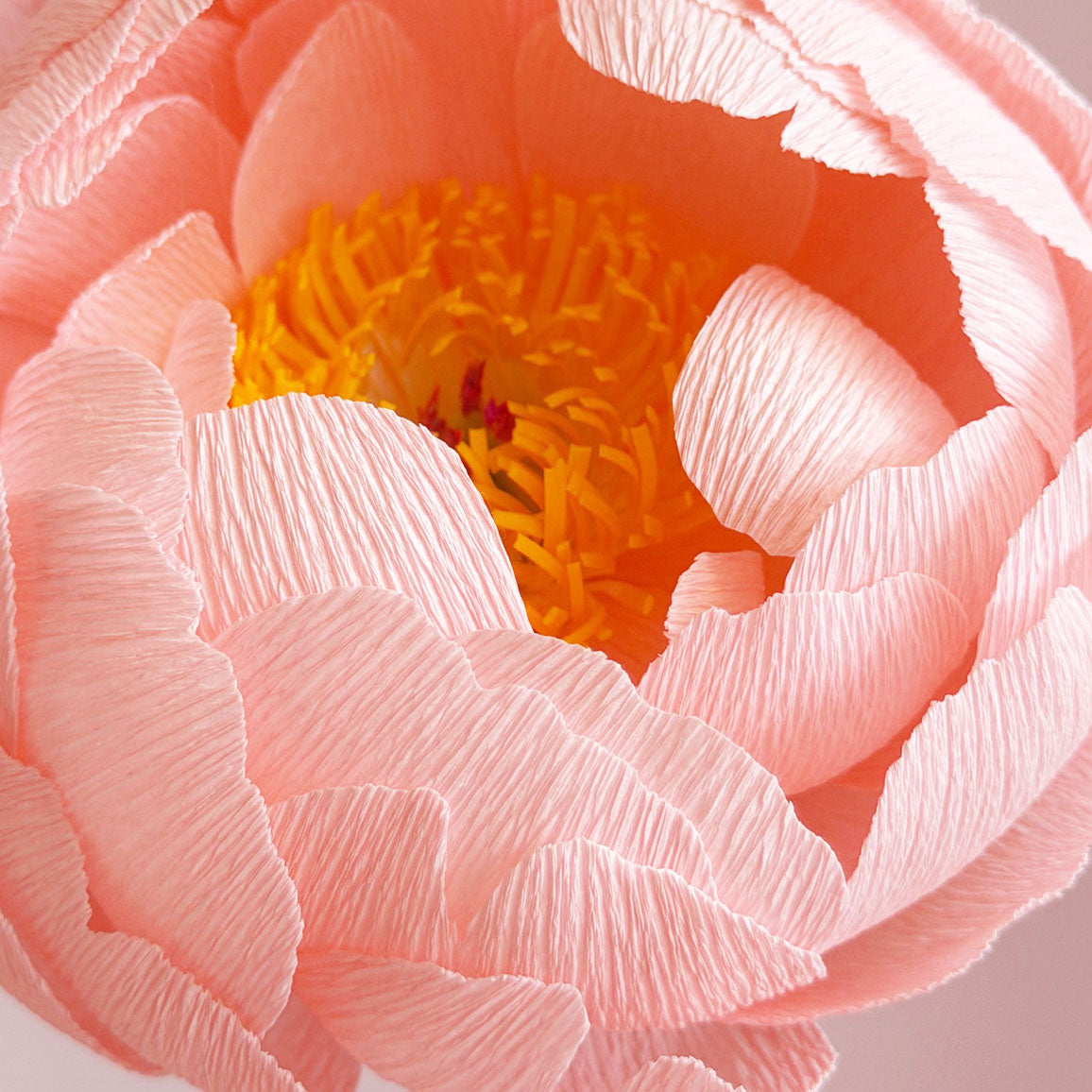 Ana's Paper Blooms- Light Pink Peony