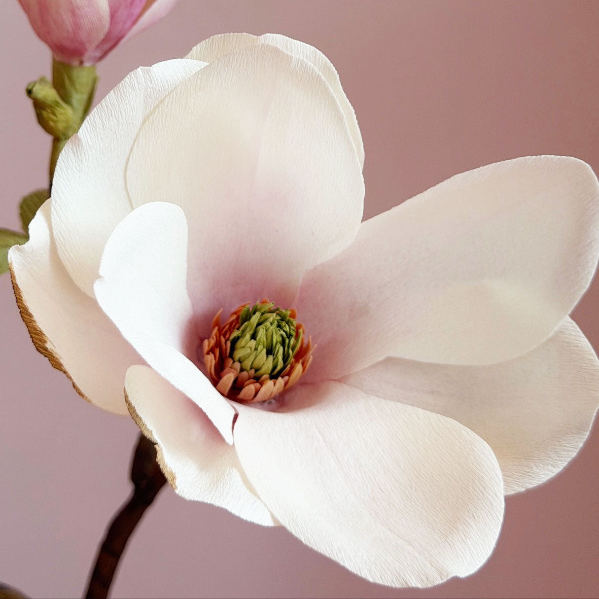 Ana's Paper Blooms - Magnolia