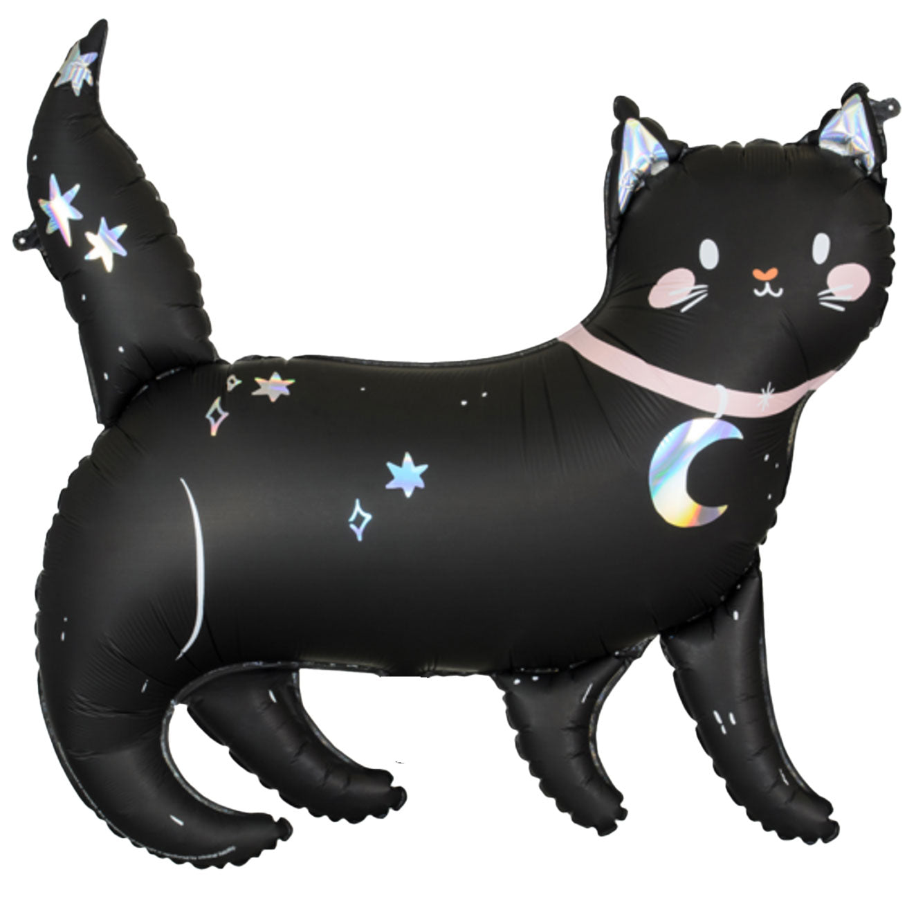 Midnight Cat