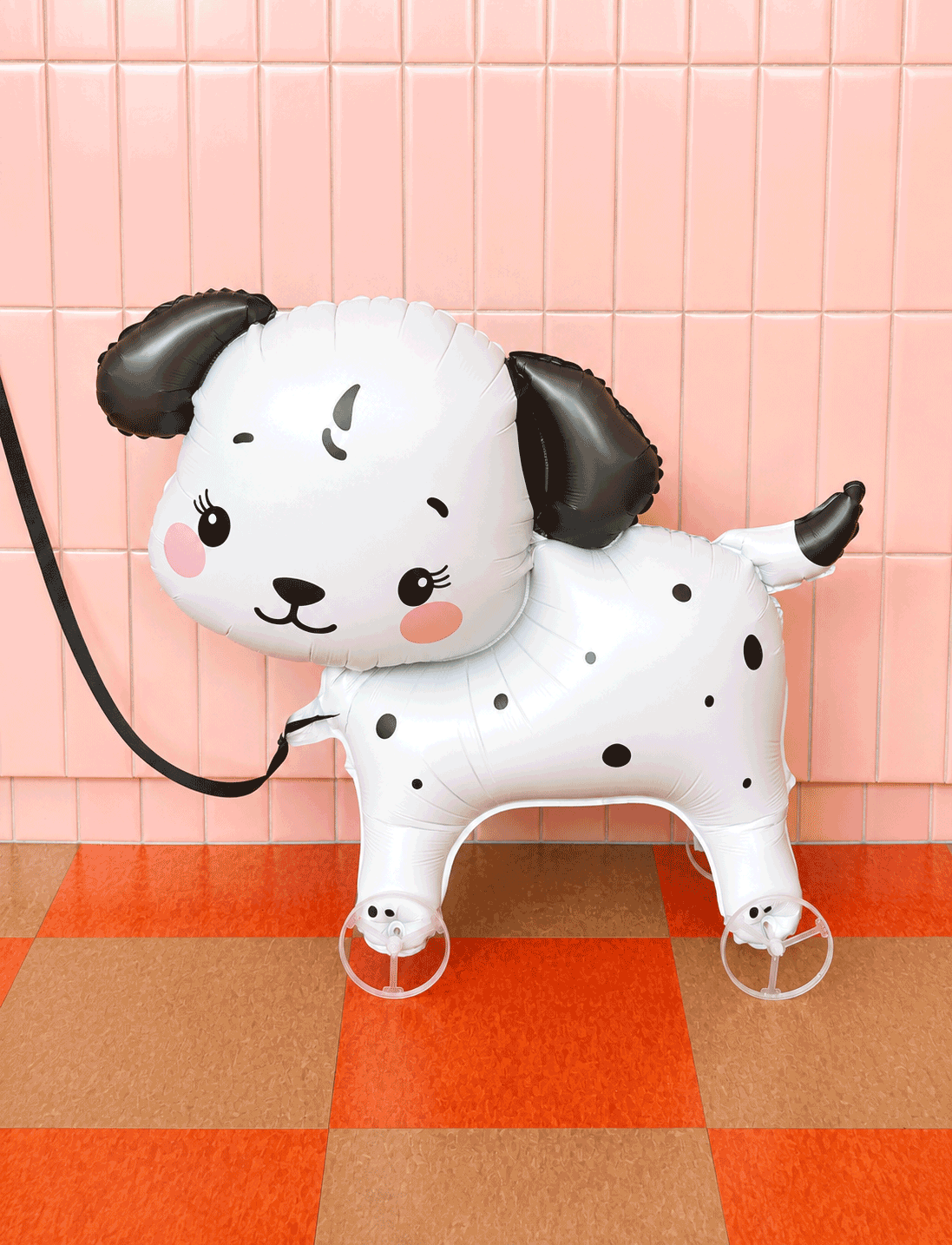 Pet Cat/Dog