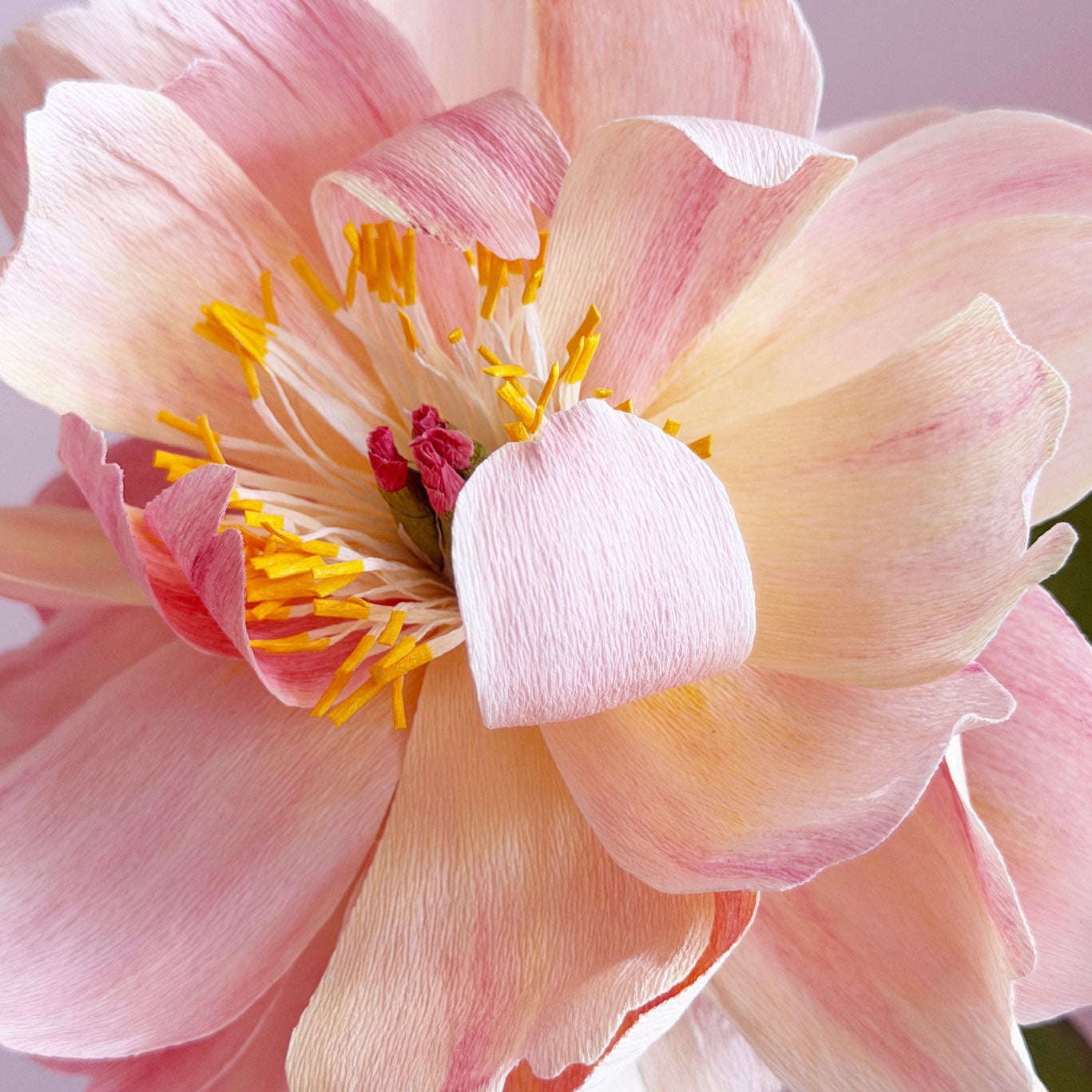 Ana's Paper Blooms - Ruffled Peony