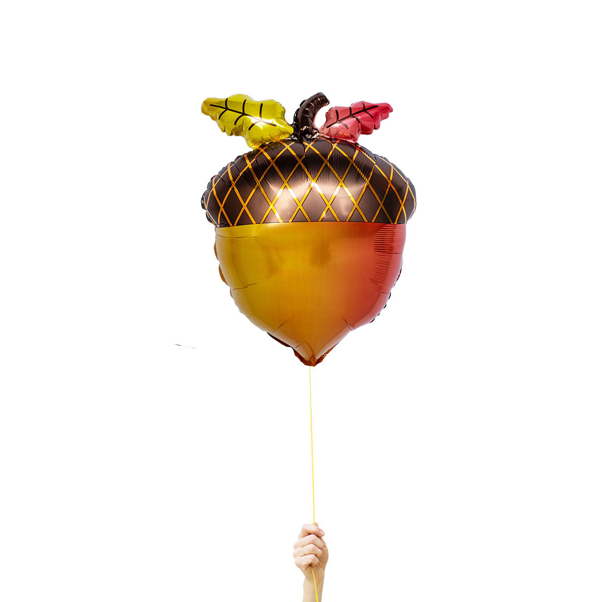 Acorn