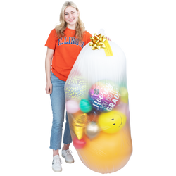 Bag of Success
