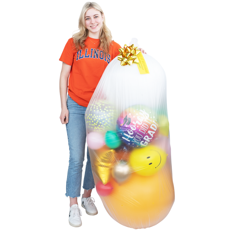 Bag of Success