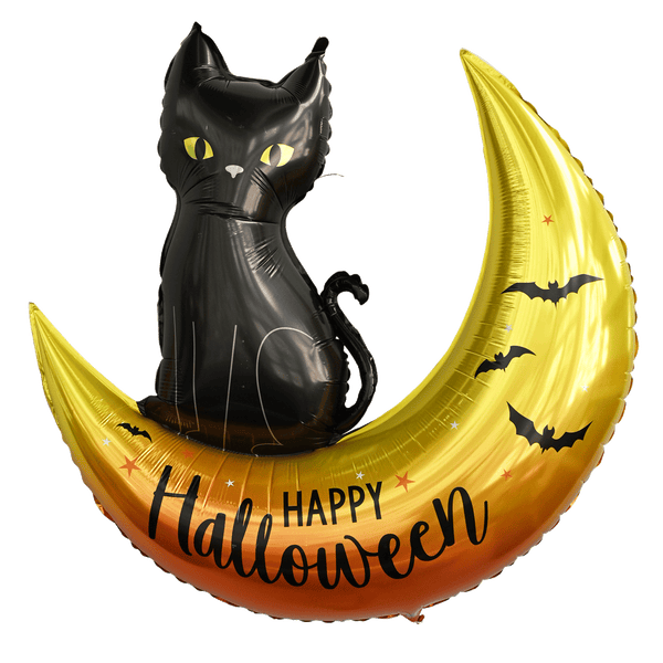 Batty Cat
